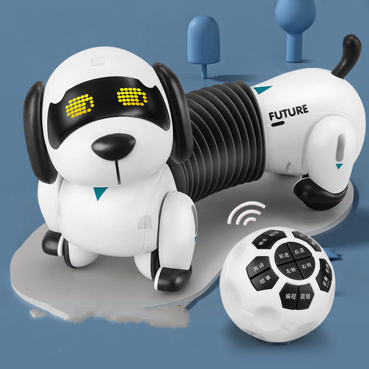 Smart Sensor Pet Stunt Dog Programming Remote Control